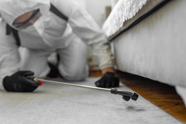 Professional Termite Control technician working in Palo, IA